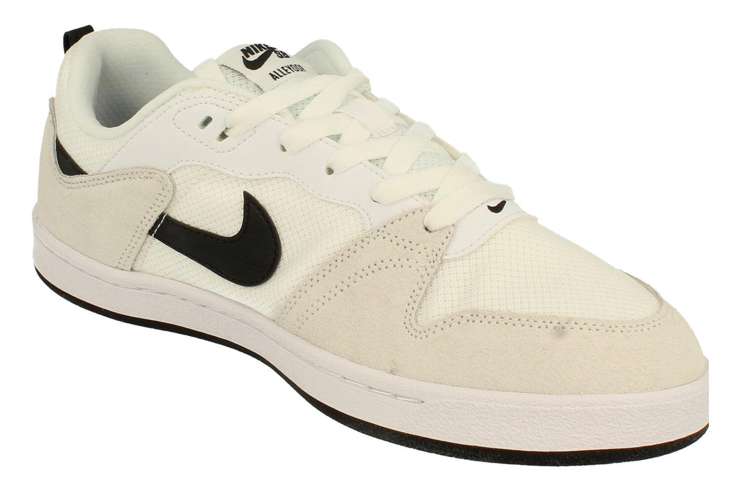 mens nike sb trainers