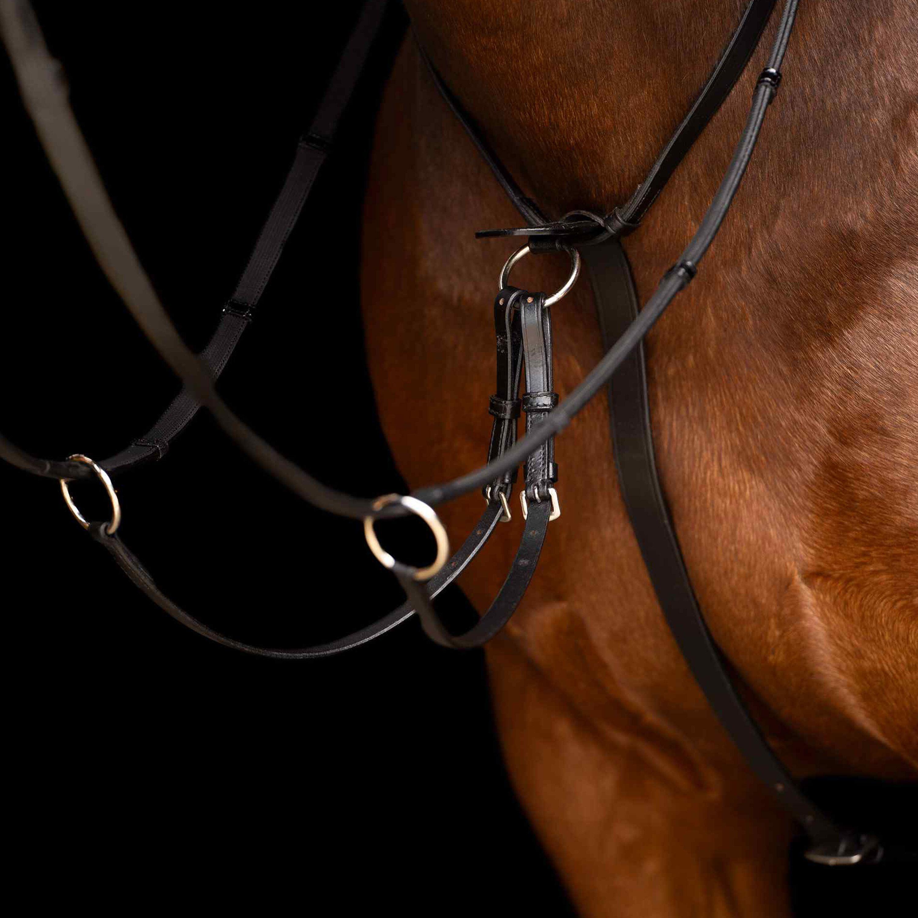 Martingala per cavalli Imperial Riding Core 2/2