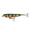 Poisson nageur - Stucki Fanatics Strayer 82mm - P