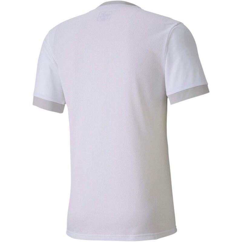 Camiseta Puma Teamgoal 23 Jersey, Gris, Hombre