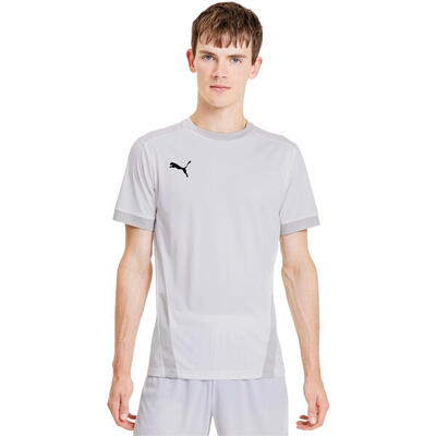 T-Shirt Puma Teamgoal 23 Jersey. Grau. Herren