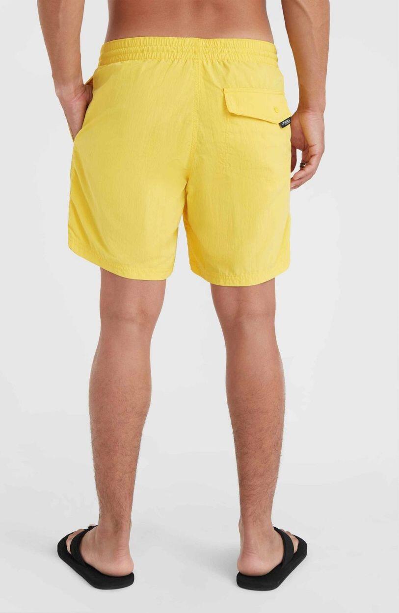 O'NEILL O'neill Vêtements de natation Vert 16  Hommes DANDELION 5/5