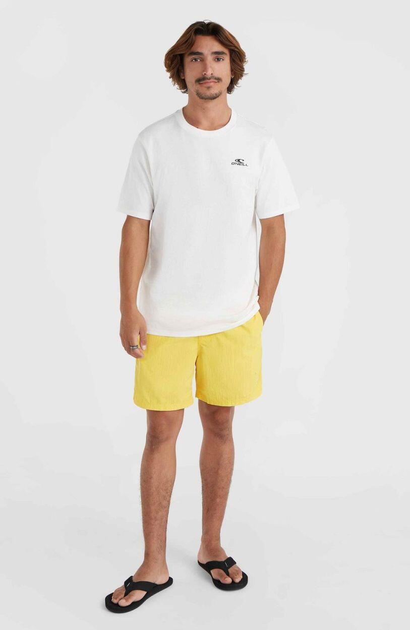 O'NEILL O'neill Vêtements de natation Vert 16  Hommes DANDELION 4/5