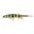 Poisson nageur - Stucki Fanatics SNARE 130mm - P