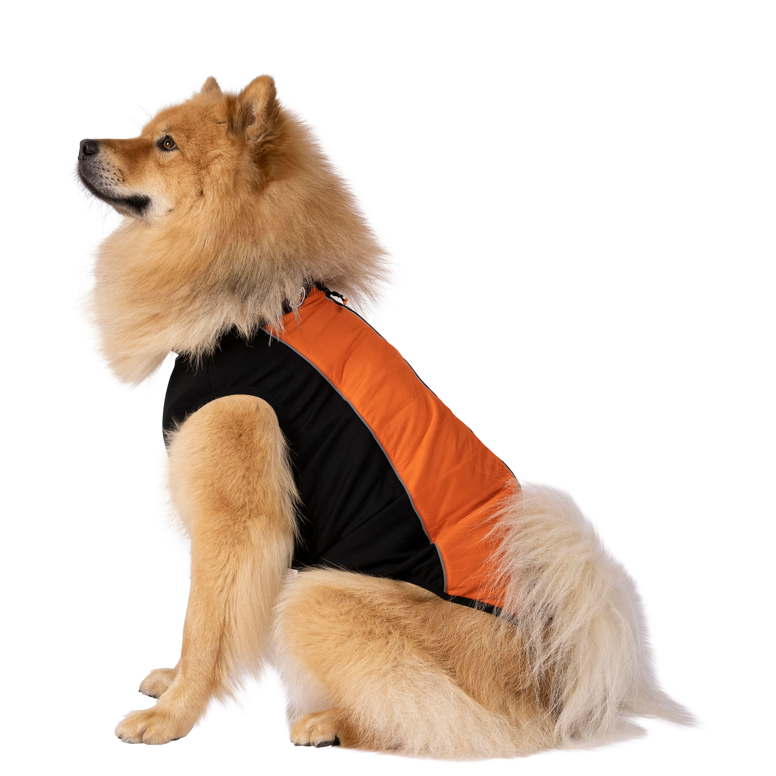 Waterproof Dog Jacket Reflective Stretch Panels Machine Washable Beedle 1/4