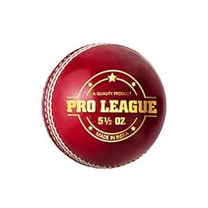 DSC Pro League Cricket Lederball