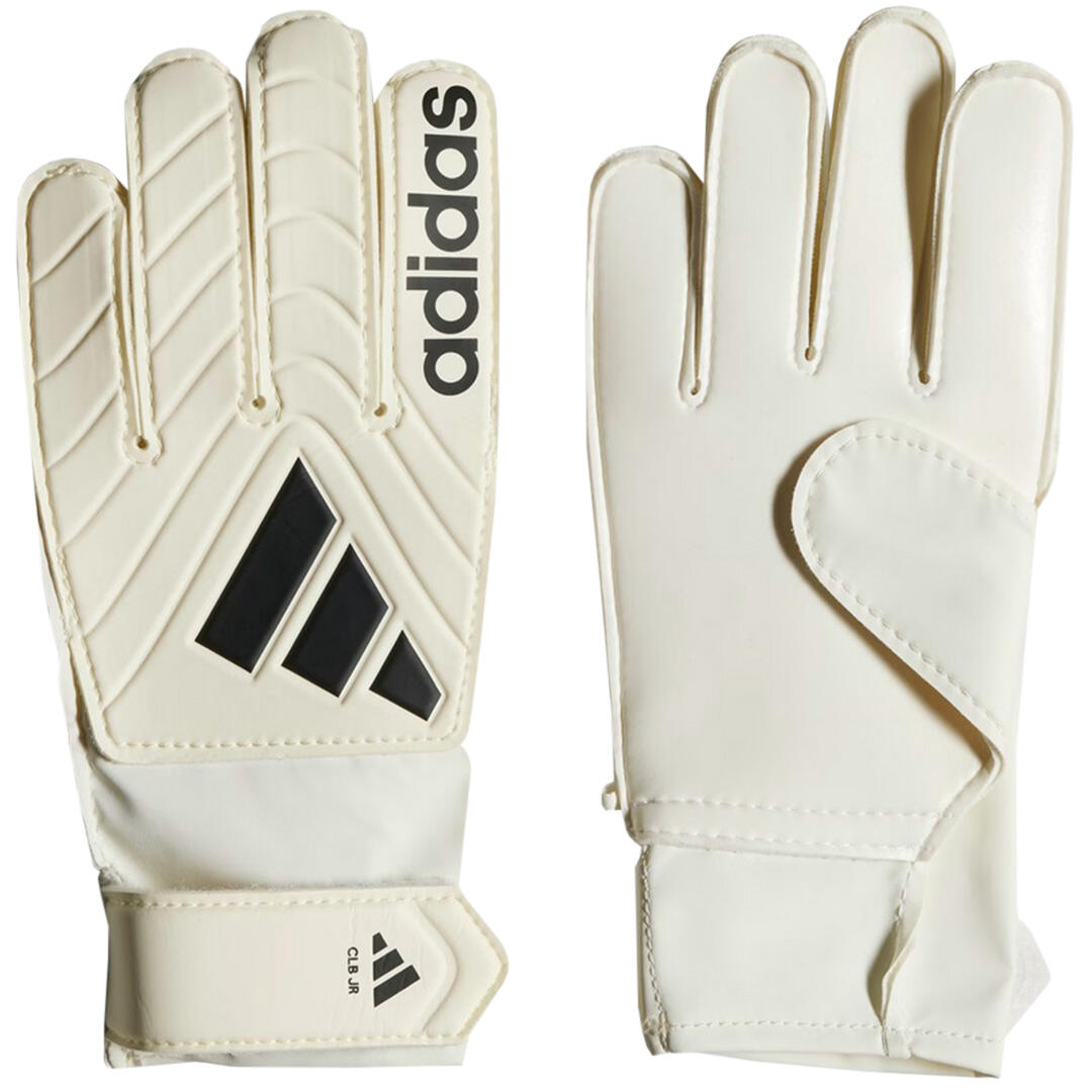 ADIDAS picture