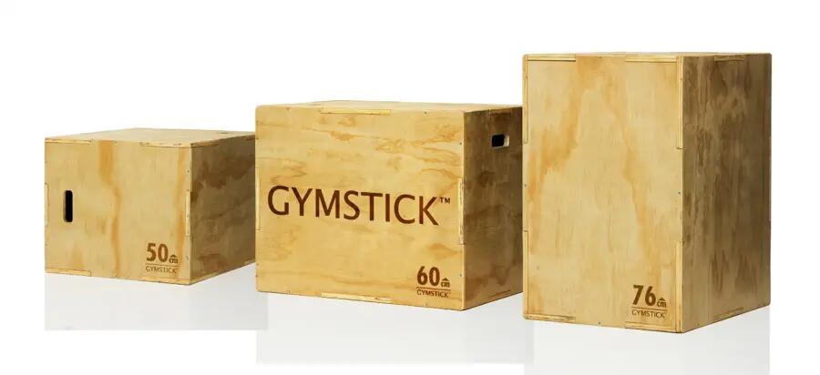 GYMSTICK picture