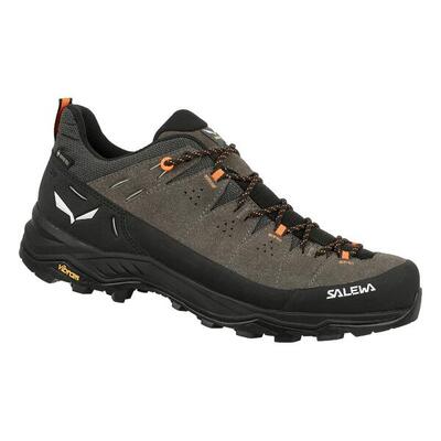 Wanderschuh Alp Trainer 2 GTX