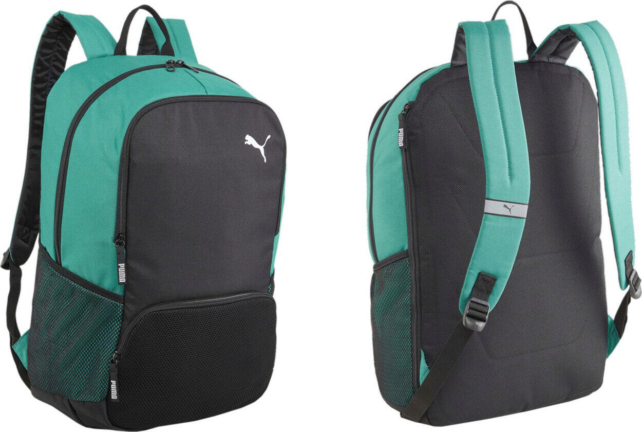 PUMA picture