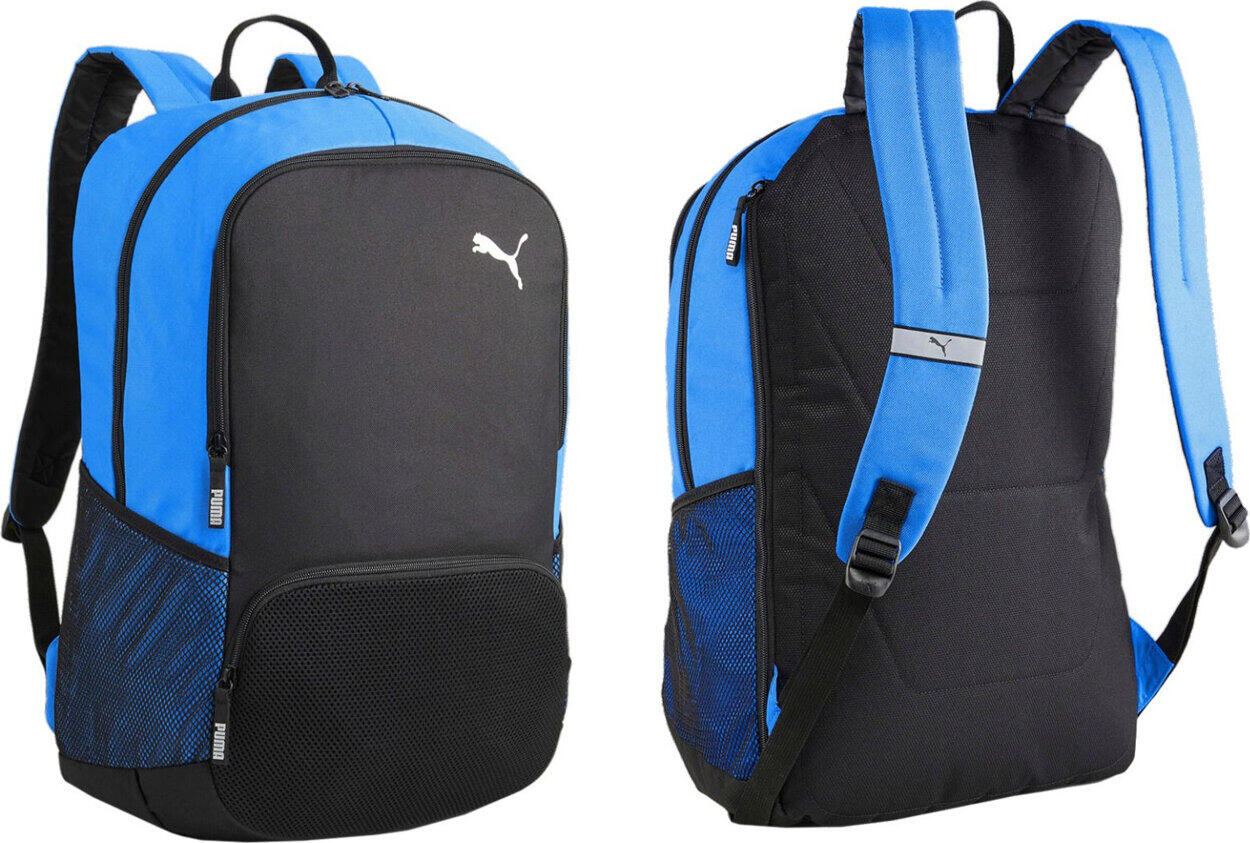 PUMA picture