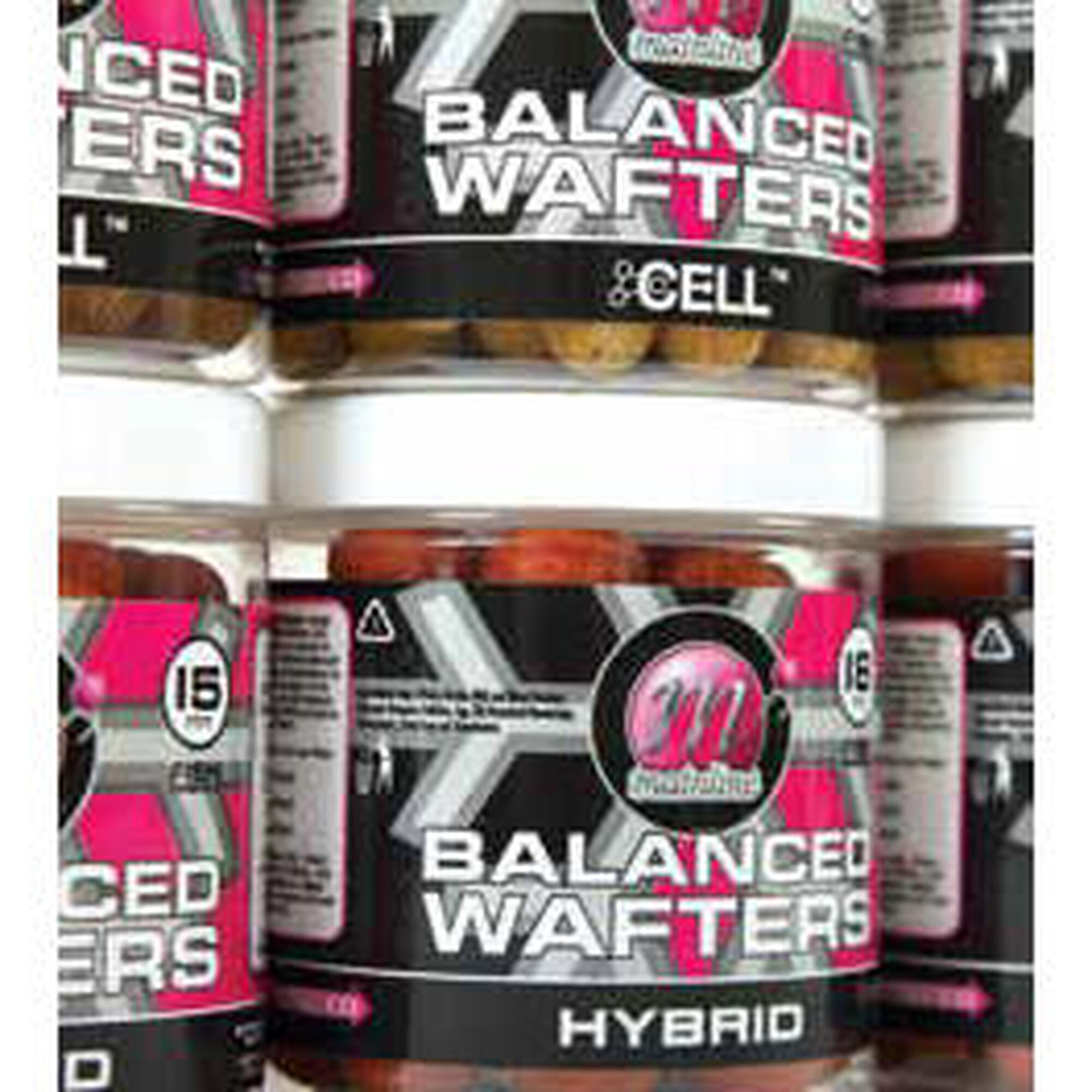 BOILIES POP-UP MAINLINE ESSENTIAL CELL BALANCED WAFTER