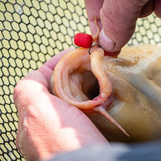 DUMBELL MAINLINE WAFTERS MATCH RED KILL 6MM