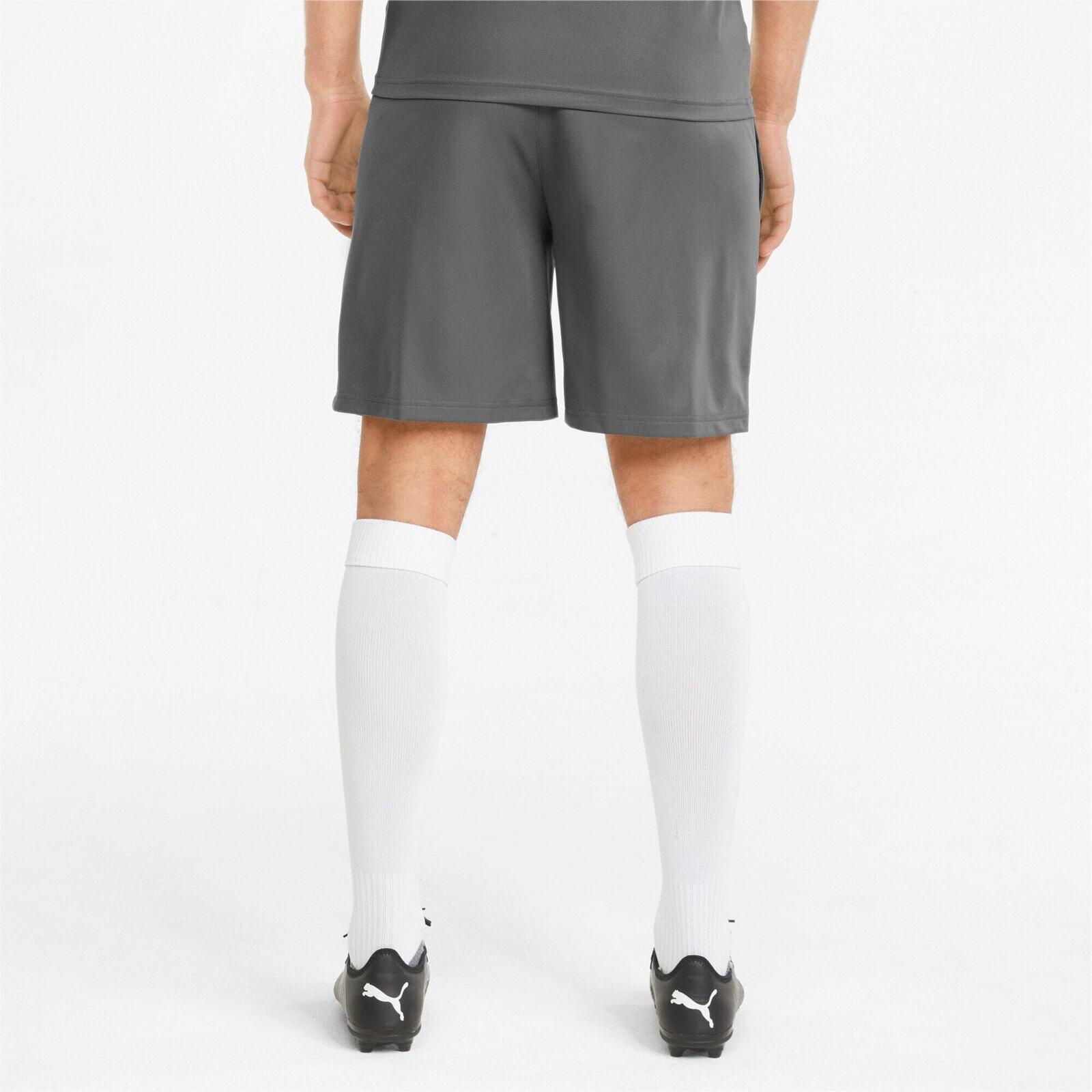 Kurze Hose Puma Teamfinal Training Shorts, Grau, Herren 2/6