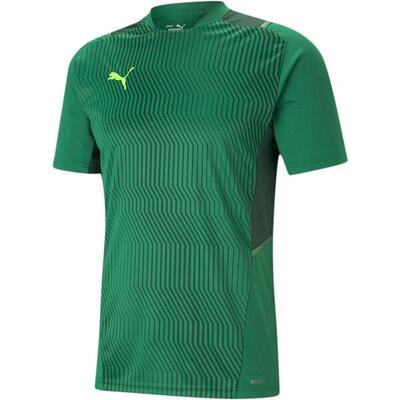 T-Shirt Puma Teamcup Training Jersey. Grün. Herren