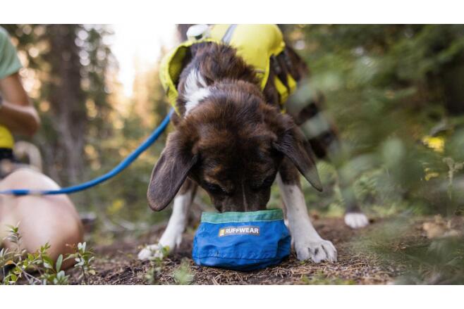 Gamelle Ruffwear Trail Runner Blue pool 4/5