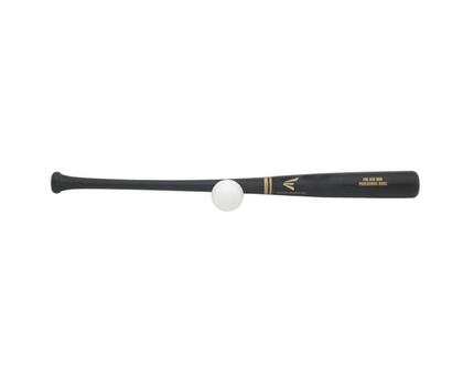 Easton Pro Stix Trainingsset
