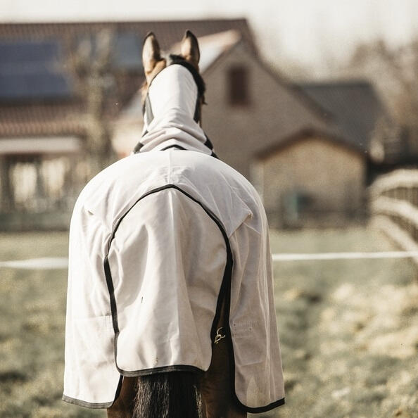 Kentucky Vliegendeken Beige - 3/7