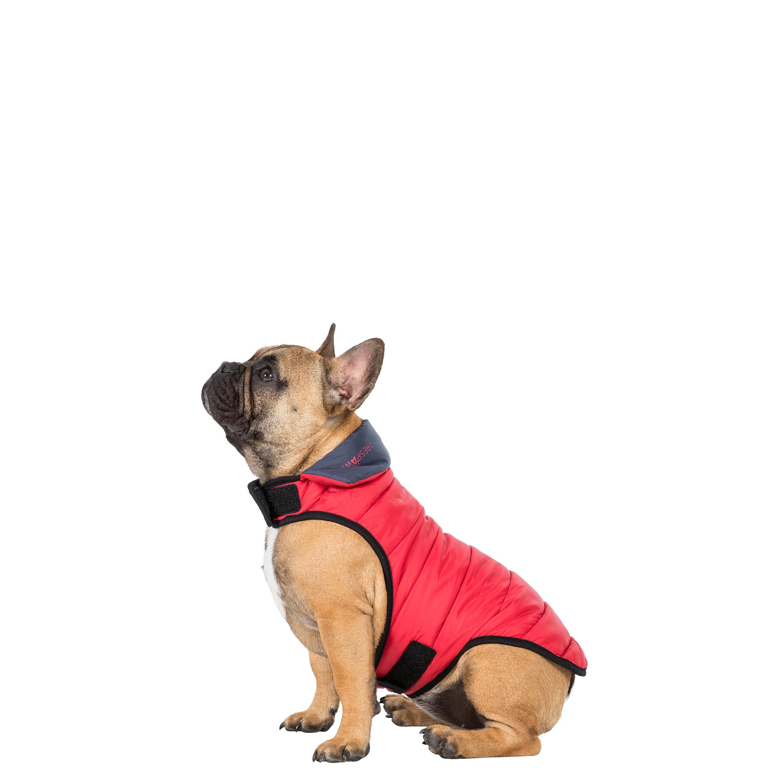 Padded Fully Reversible Dog Jacket Packaway with Harness Access Kimmi 3/5
