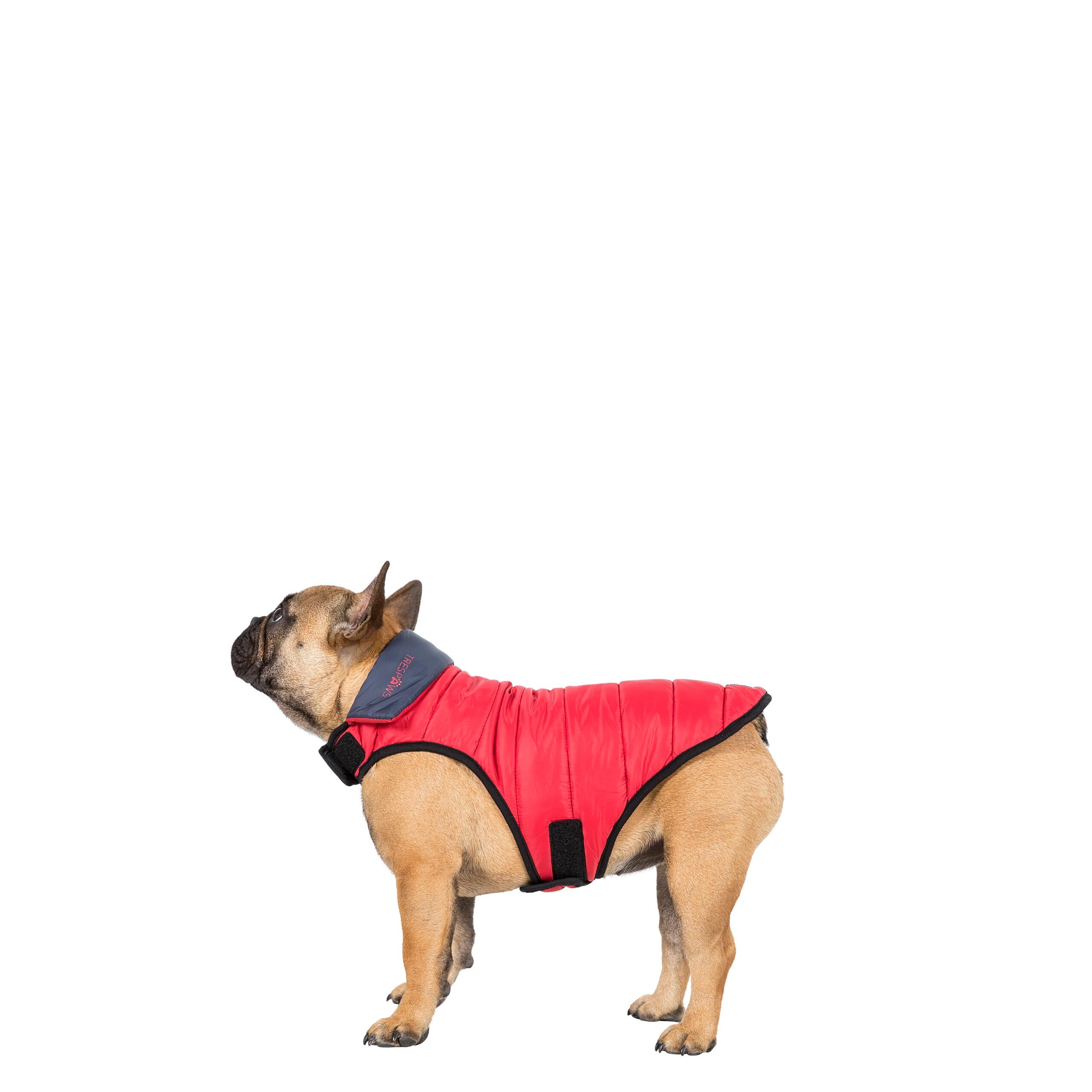 Padded Fully Reversible Dog Jacket Packaway with Harness Access Kimmi 5/5