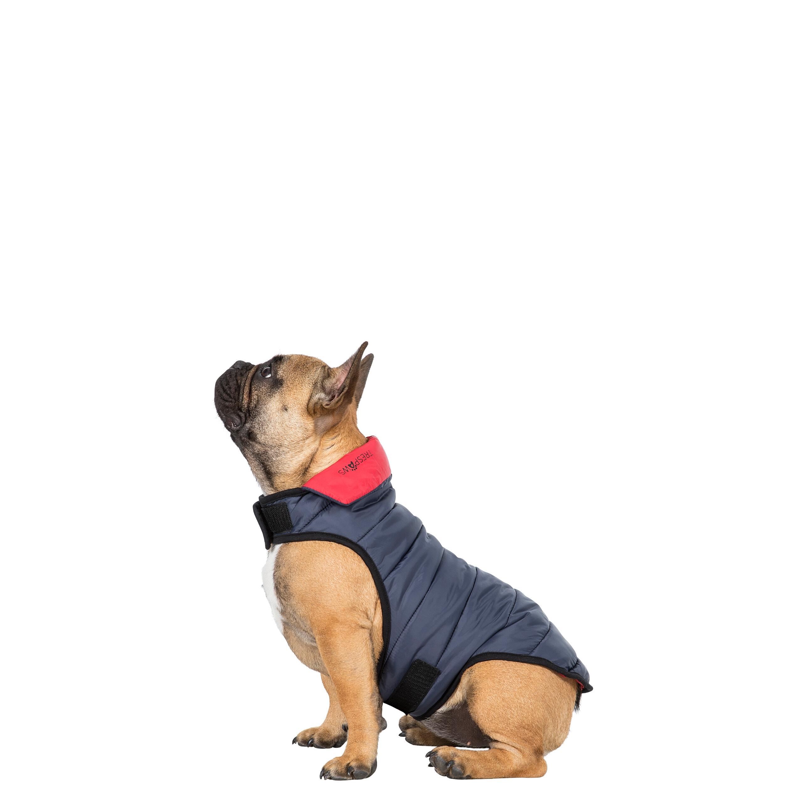 Padded Fully Reversible Dog Jacket Packaway with Harness Access Kimmi 1/5