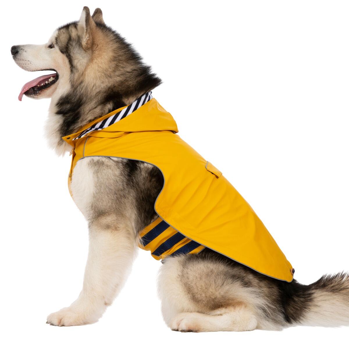 Abrigo para perro Trespass Seadog 2/5