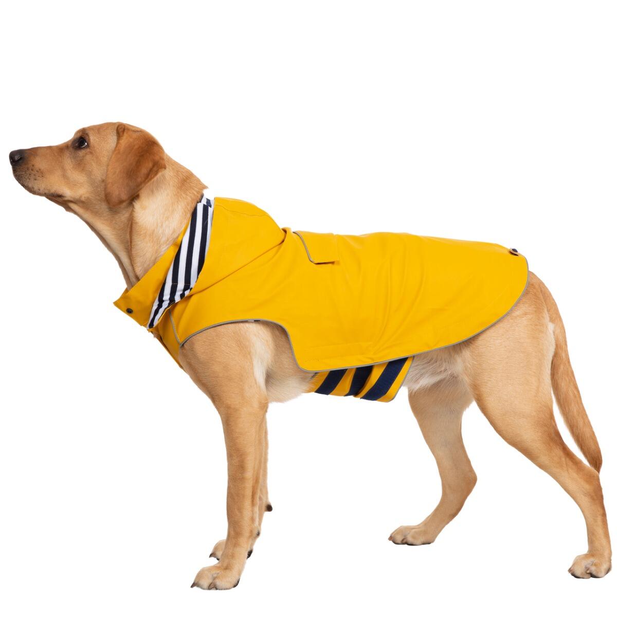 Abrigo para perro Trespass Seadog 3/5