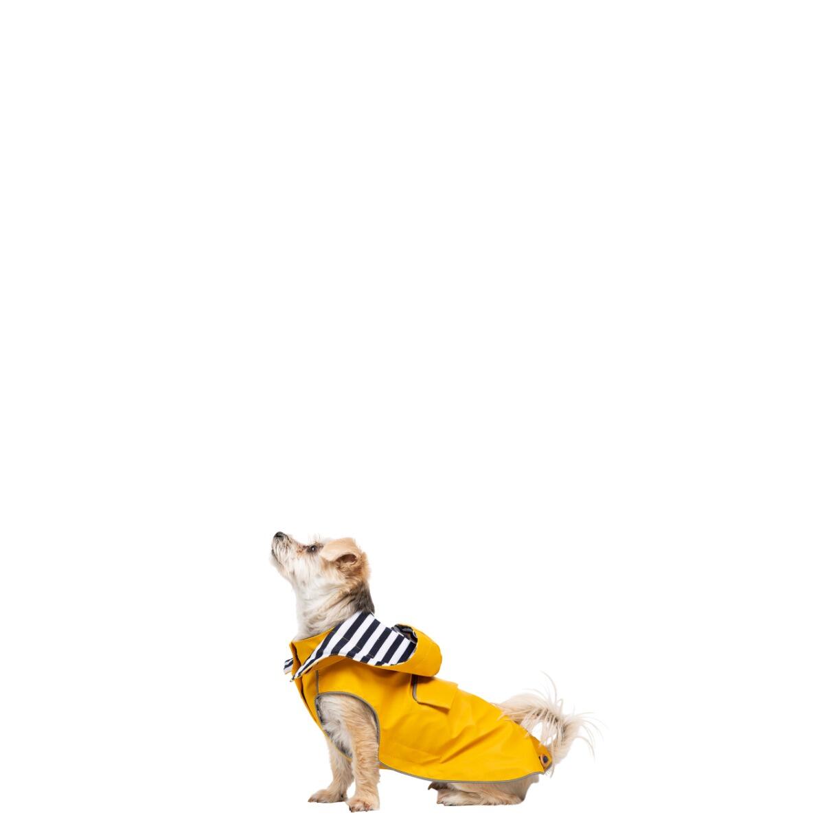 Abrigo para perro Trespass Seadog 4/5