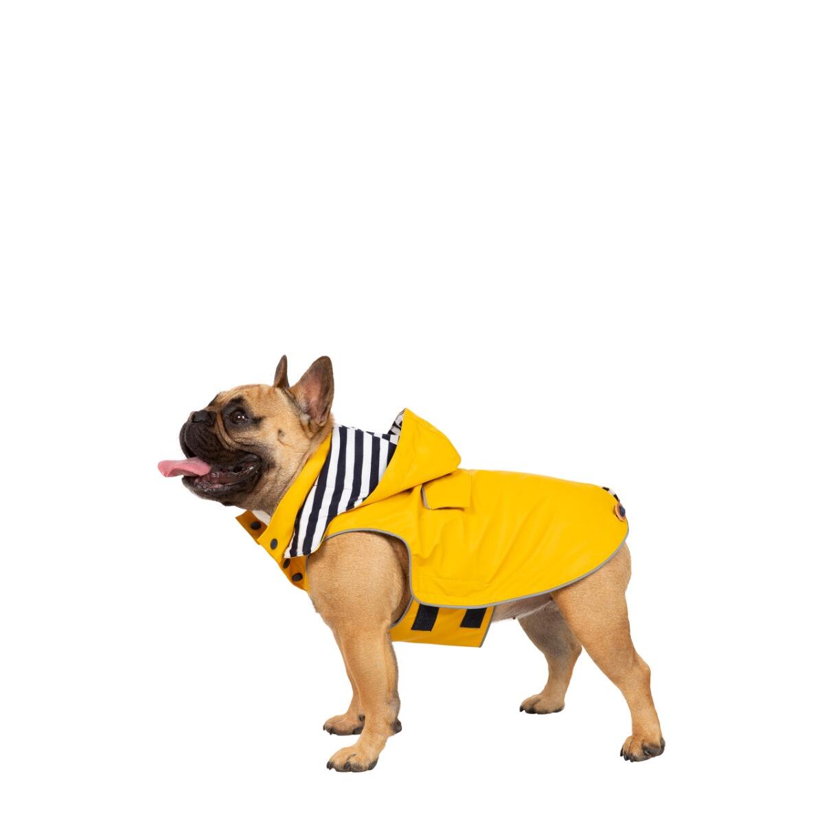 TRESPAWS Waterproof Dog Coat Packaway Pocket with Harness Access Seadog