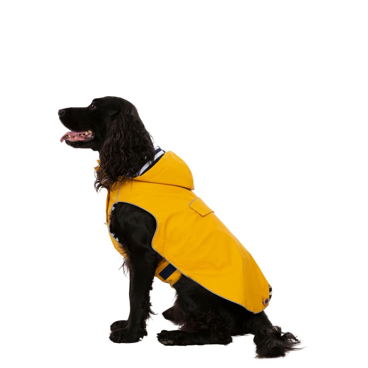 Abrigo para perro Trespass Seadog 5/5