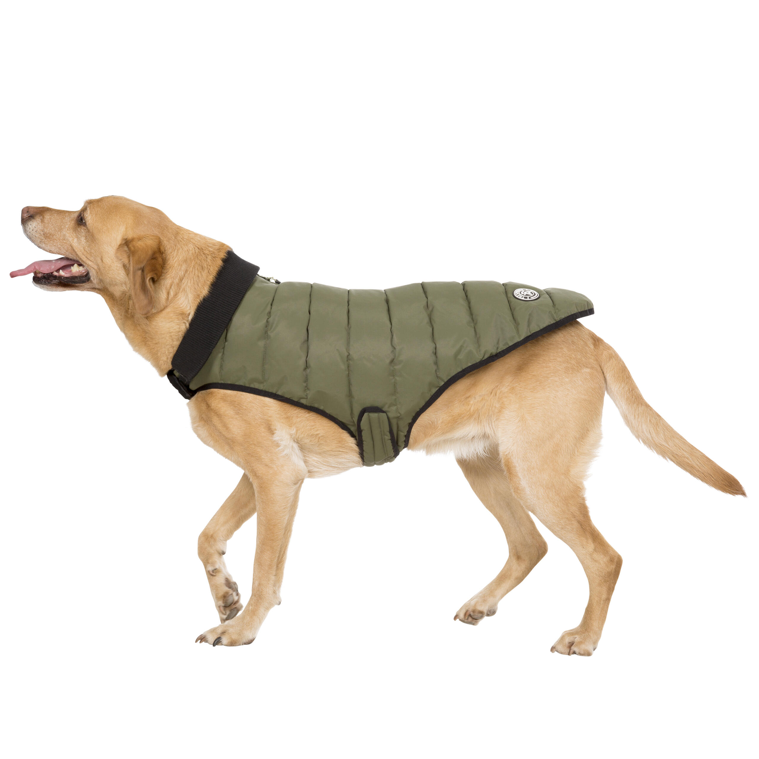 Puffer Dog Coat Waterproof Wrap Around with Harness Access Lloyd 4/5