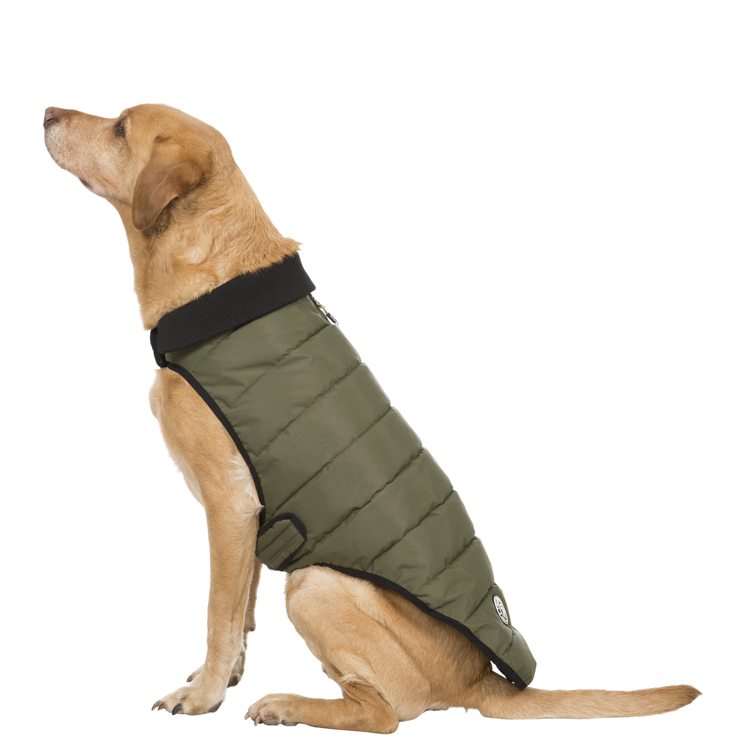 Puffer Dog Coat Waterproof Wrap Around with Harness Access Lloyd 3/5
