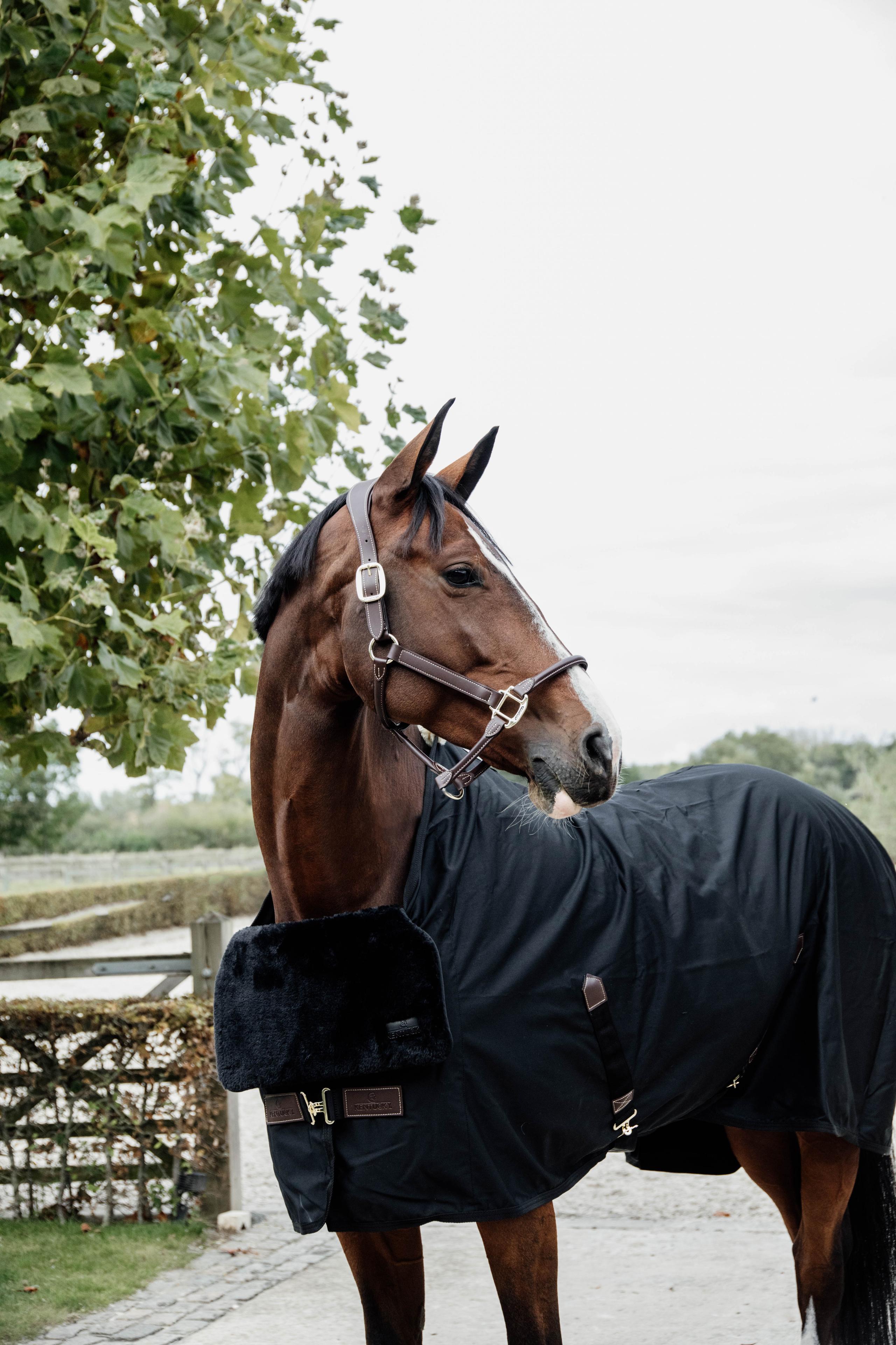 Horse BIB Schulter schutz Fell schwarz 2/5