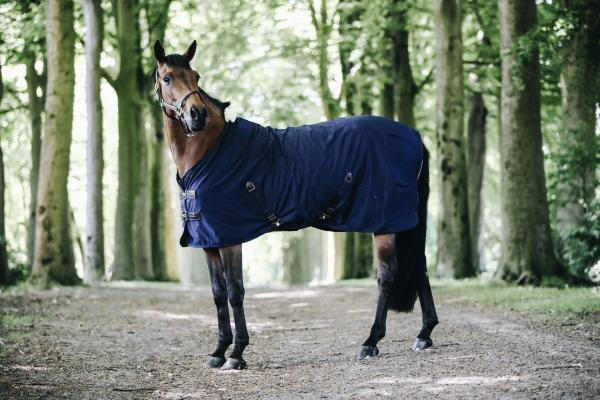 Chemise coton navy 130-6'0 2/7
