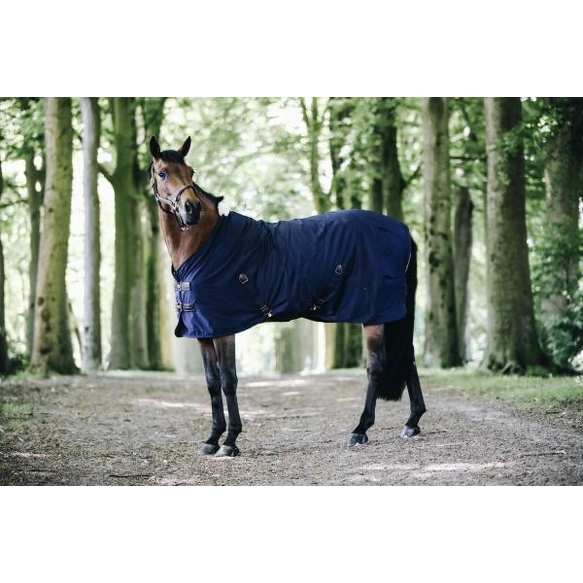 Kentucky Cotton Sheet Blauw -