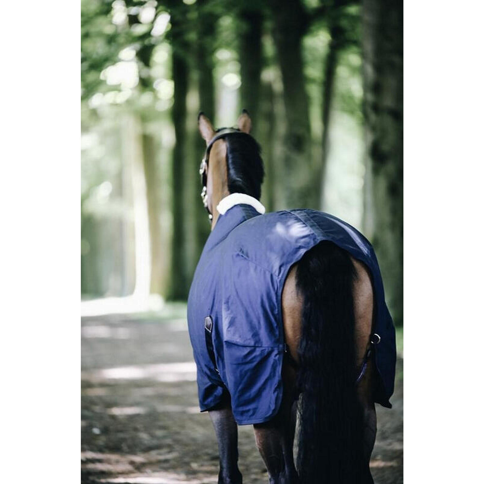 Kentucky Cotton Sheet Blauw -