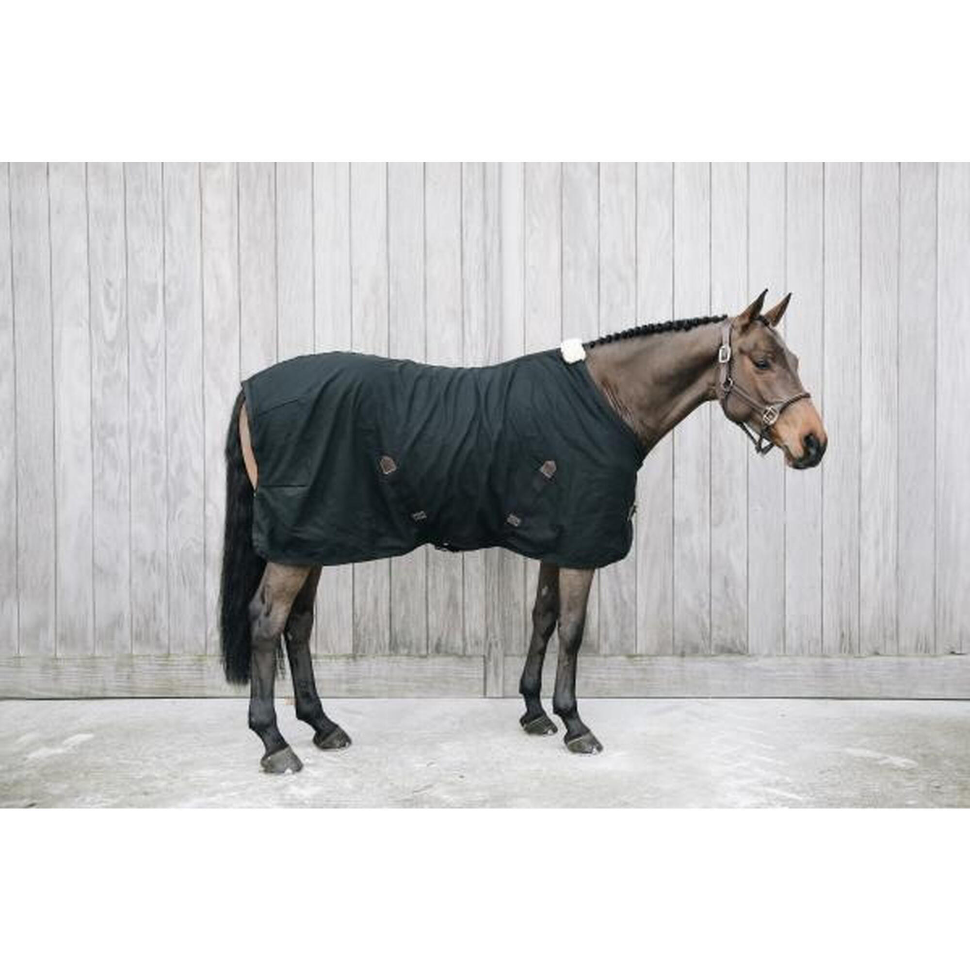 Kentucky Cotton Sheet Zwart -