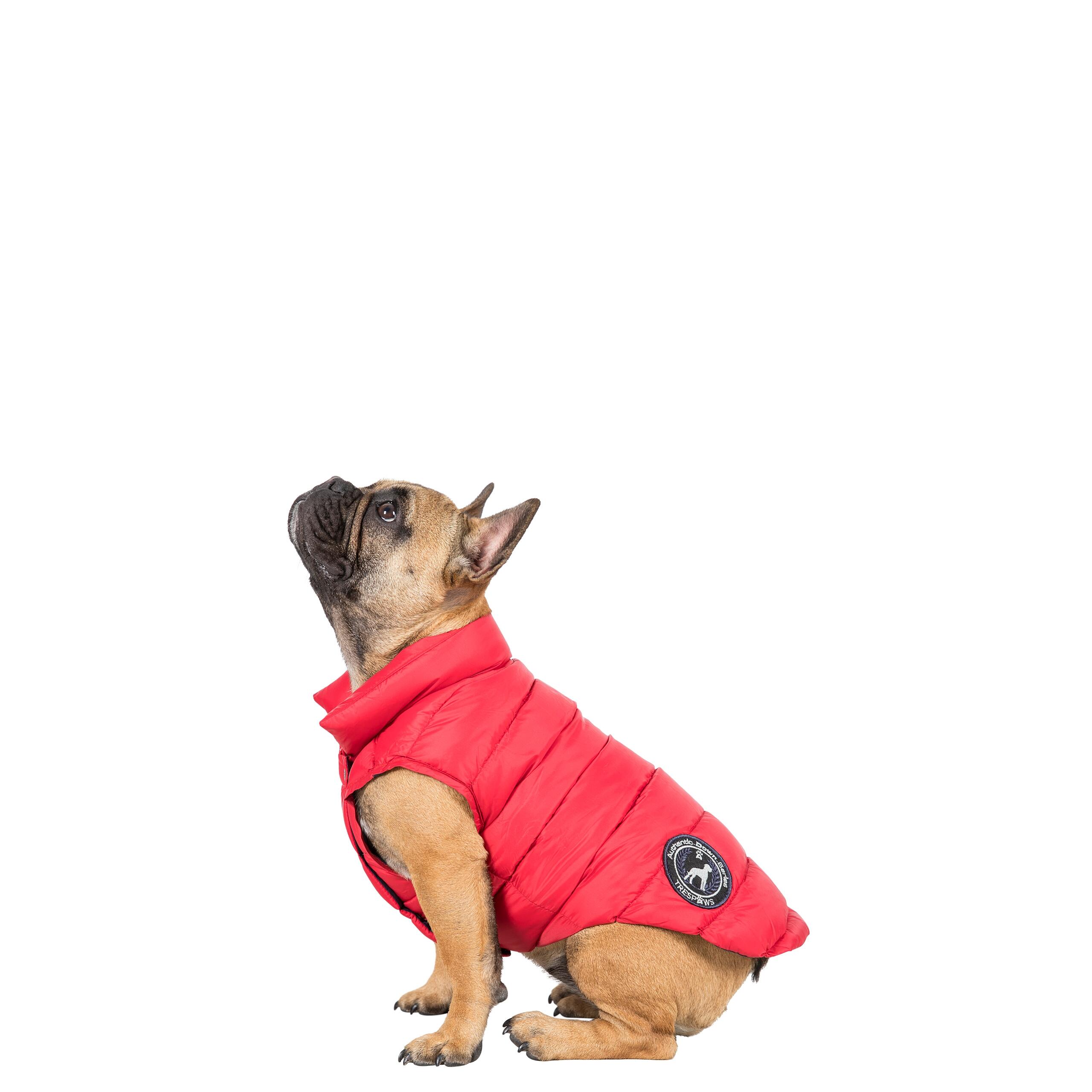 Dog Down Jacket Coat Zip Fastening with Harness Access Point Dogby 1/5