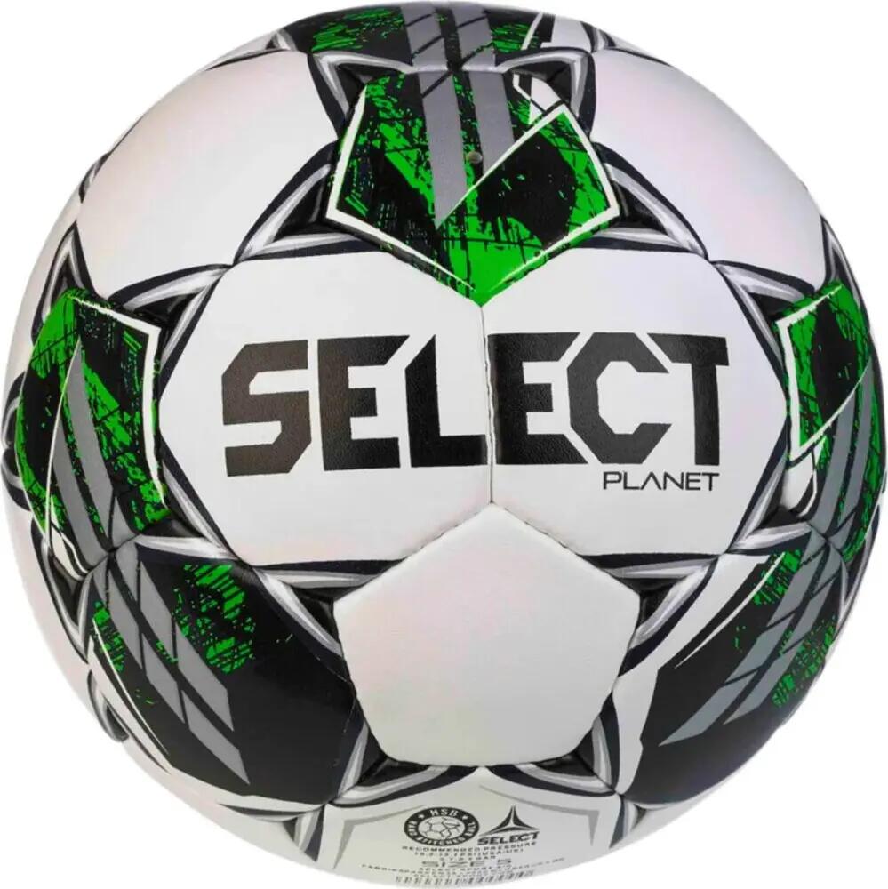 SELECT picture
