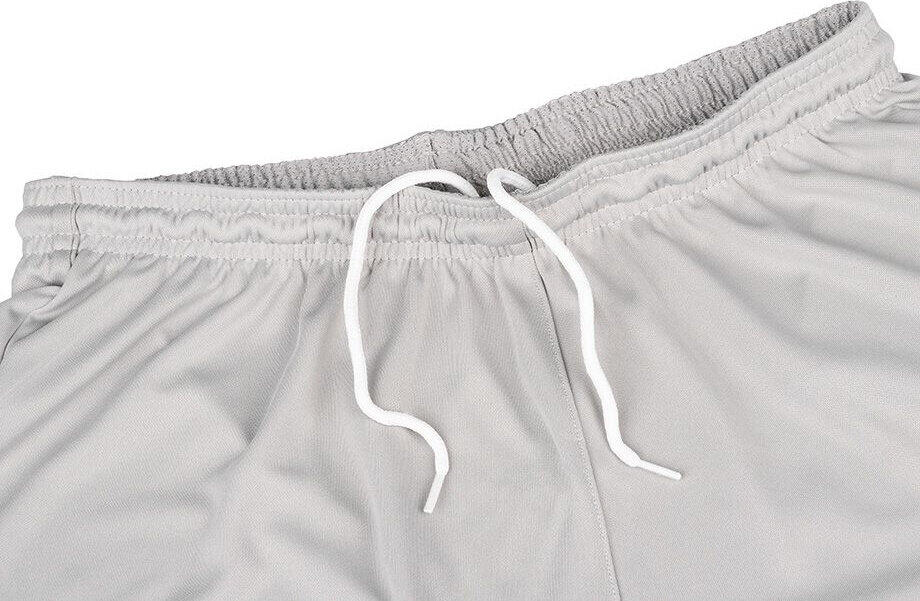 Pantalones Cortos Dry Park III para Hombre Gris 4/4
