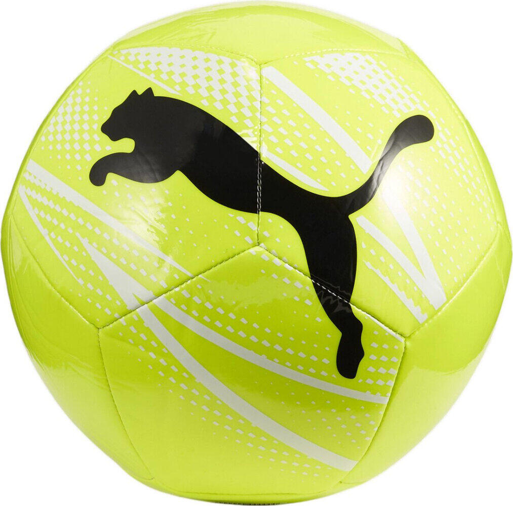 PUMA picture