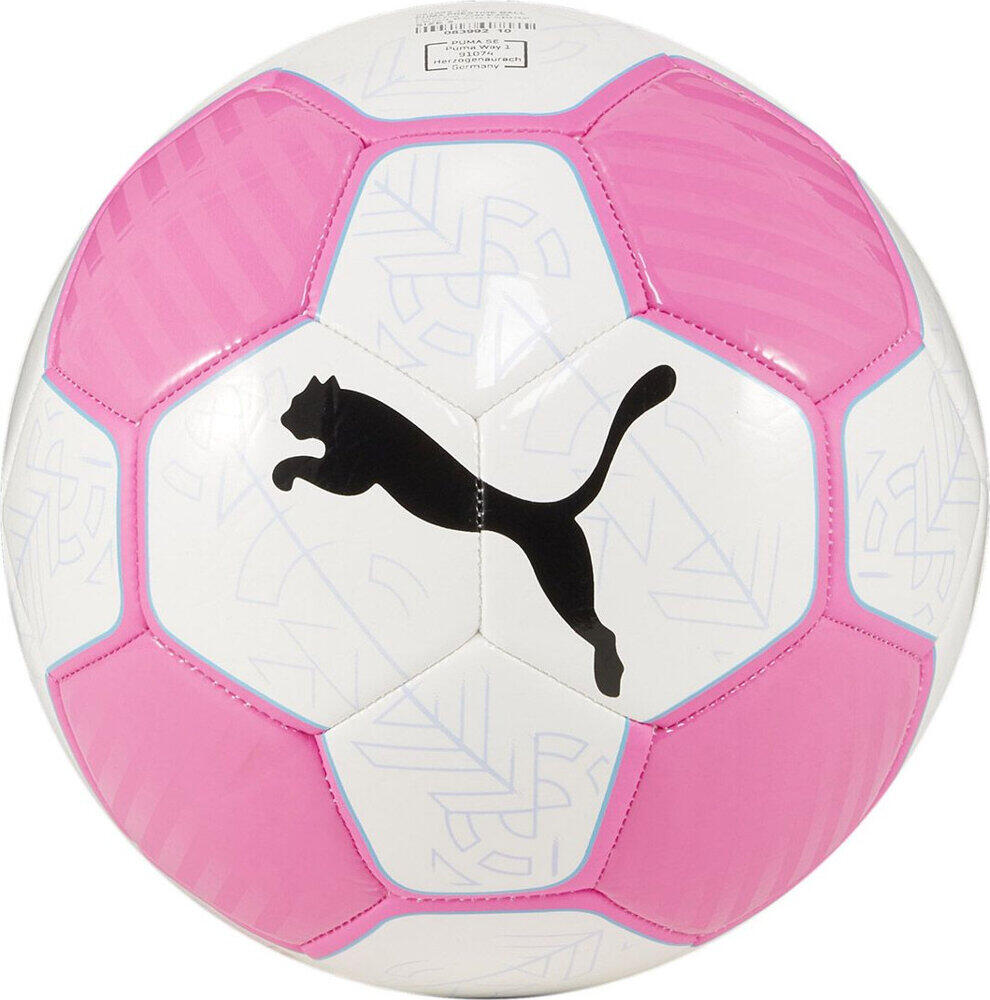 PUMA picture