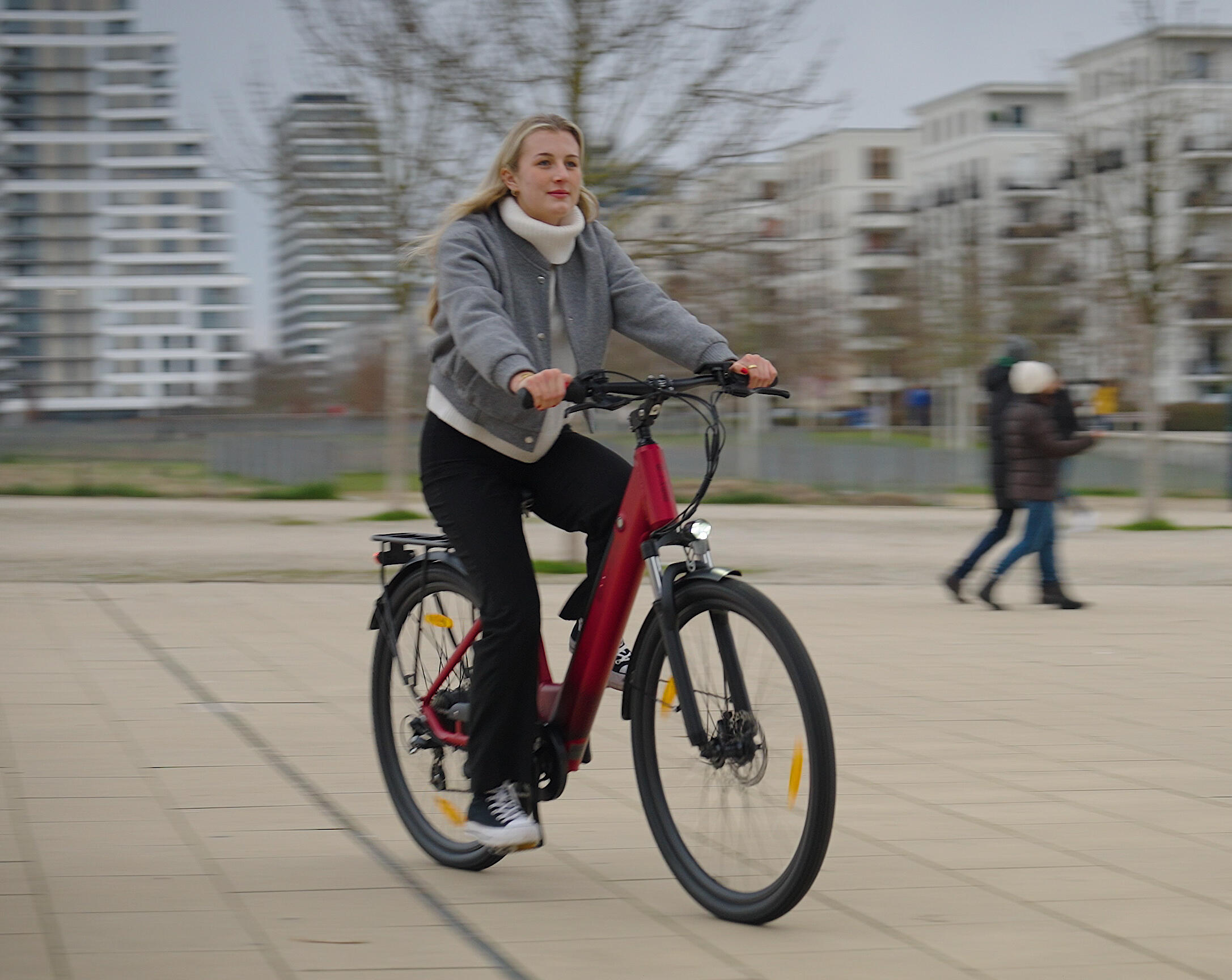 E-Bike Trekking & City 28 Zoll 90 km Reichweite, 36V Akku, 250W Motor, 7-Gang 3/9