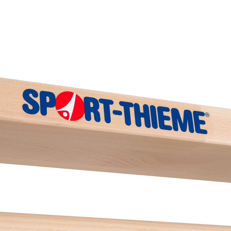 Sport-Thieme Turnwand-Einzelelement TuWa Sprossenwand nach DIN