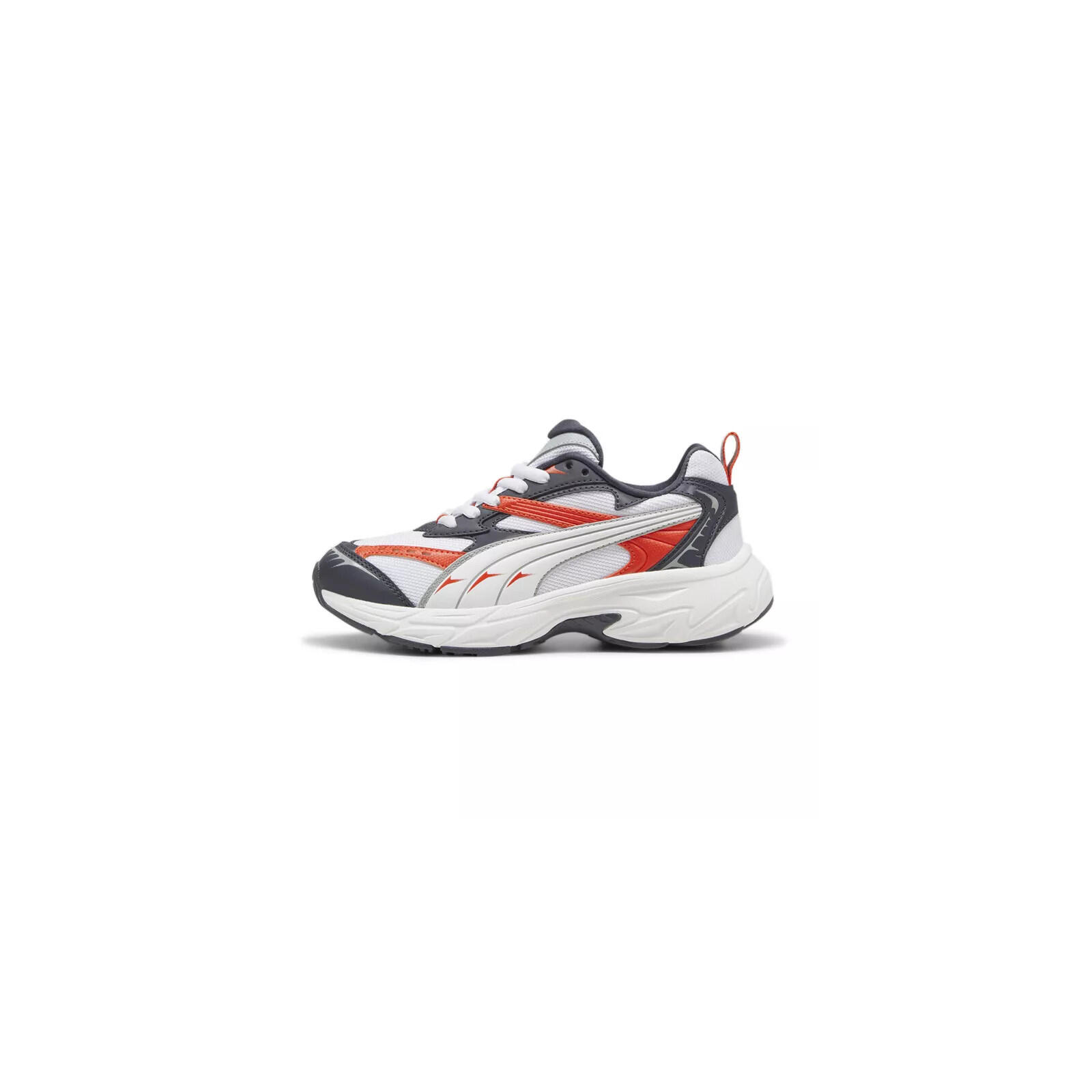 PUMA picture