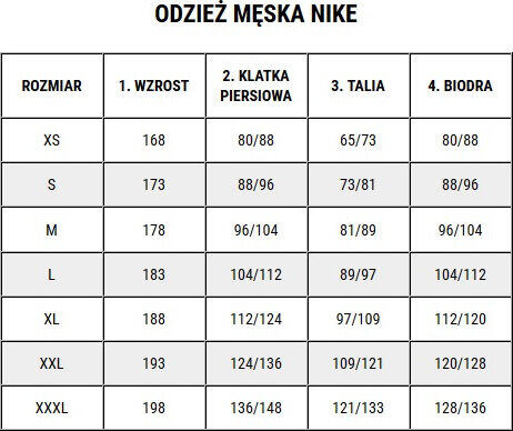 Bluza bramkarska męska Nike Dry Park IV JSY LS GK