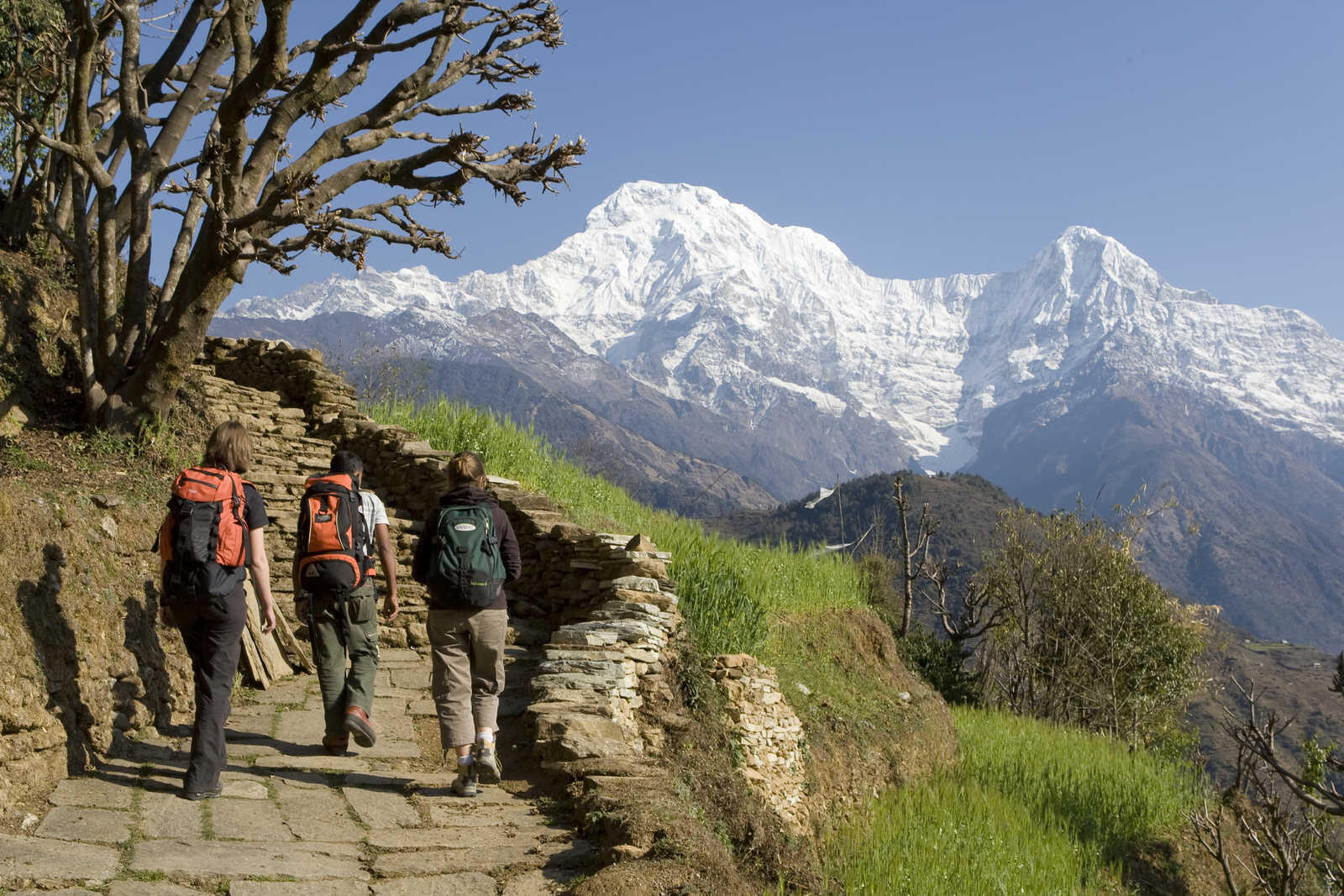 Trek naar de Annapurna en Dhaulagiris balkons 1/1