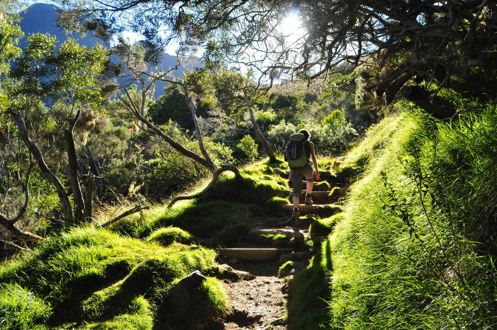 DECATHLON TRAVEL picture