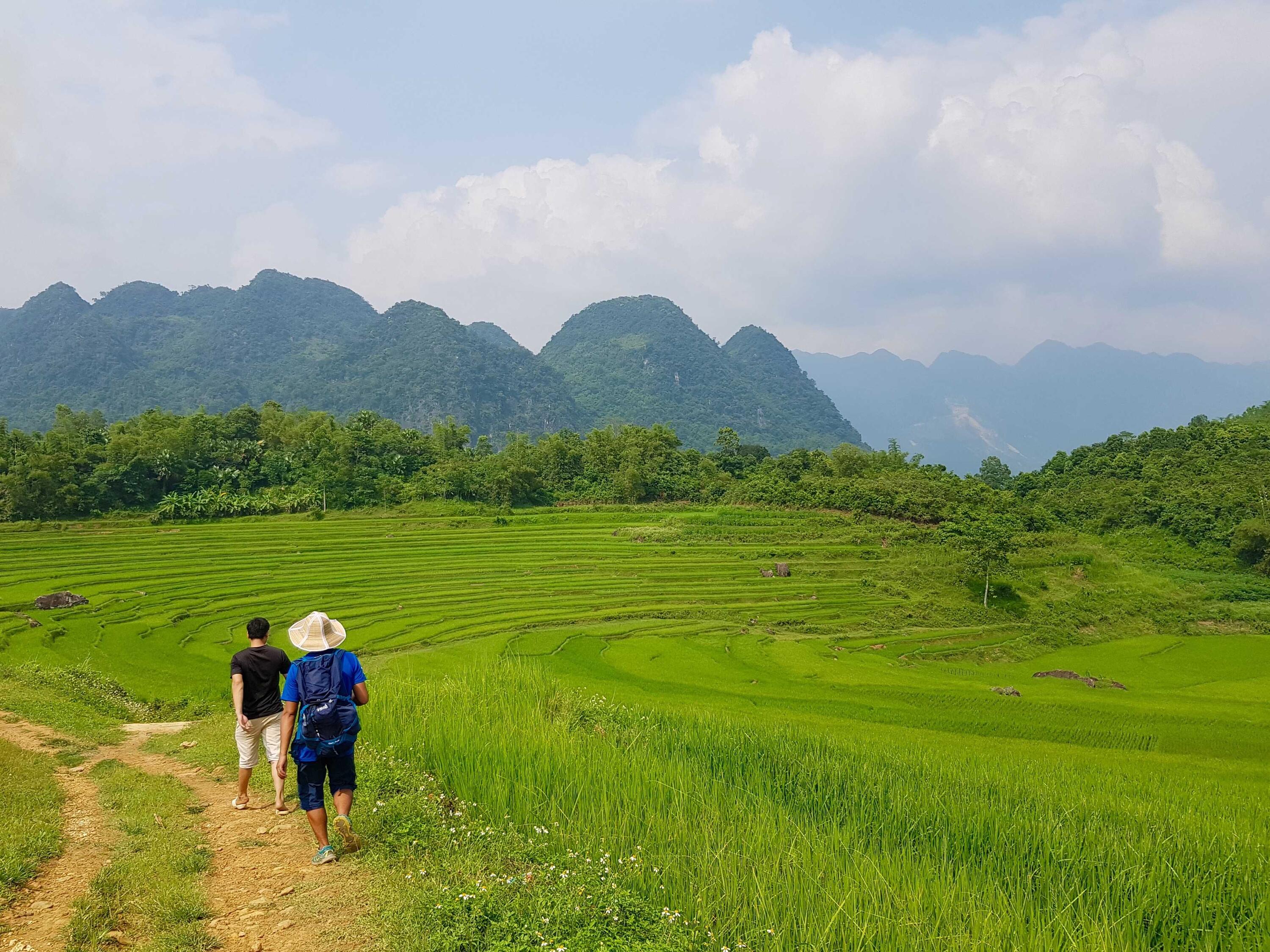 DECATHLON TRAVEL picture