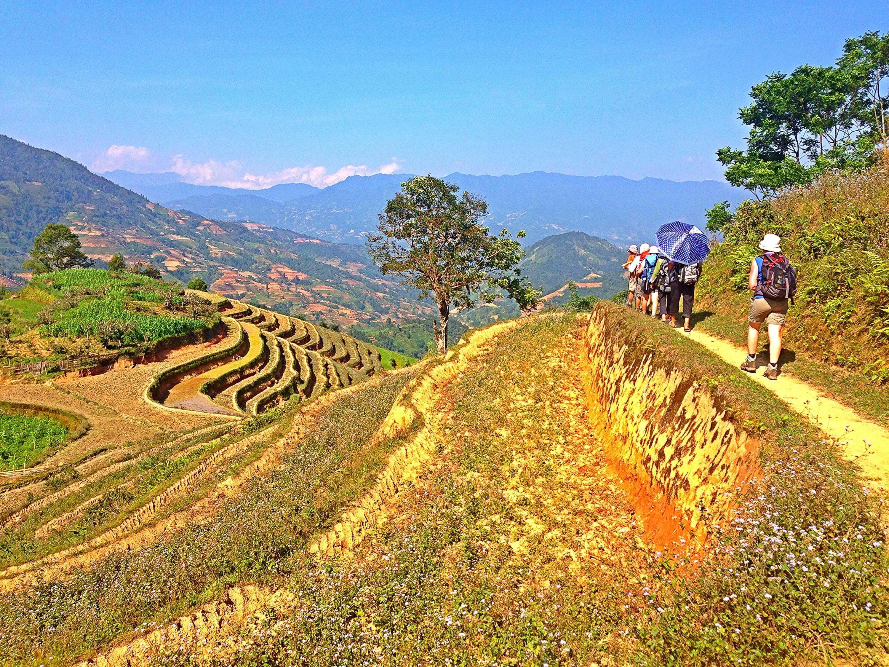 DECATHLON TRAVEL picture